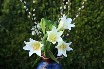 Closeup of flower arrangement in vase fraturing easter lilies in bloom