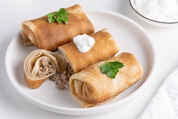 Stuffed pancakes crepes with meat