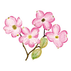 Fototapeta na wymiar Watrecolor pink flowers. Hand-drawn botanical poster. Floral element isolated on white background.