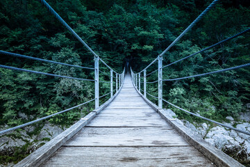 Fototapeta premium suspension bridge in the forest