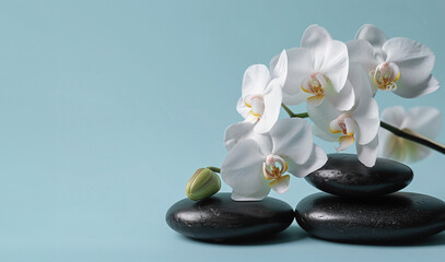 White orchids and smooth black stones against a soft blue background, symbolizing tranquility and balance. Spa Aesthetics