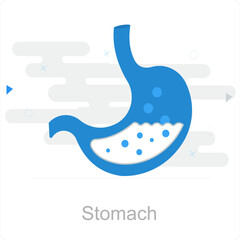 Stomach