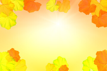 Backdrop of colorful autumn floral leaves. - 740641768