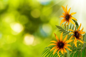 Obraz premium bouquet consisting of yellow flowers on a blurred green background.