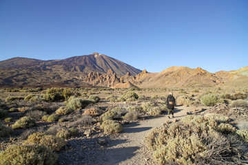 Hiking in El Teide crater. Tropic mountain scenery in Spain, Tenerife