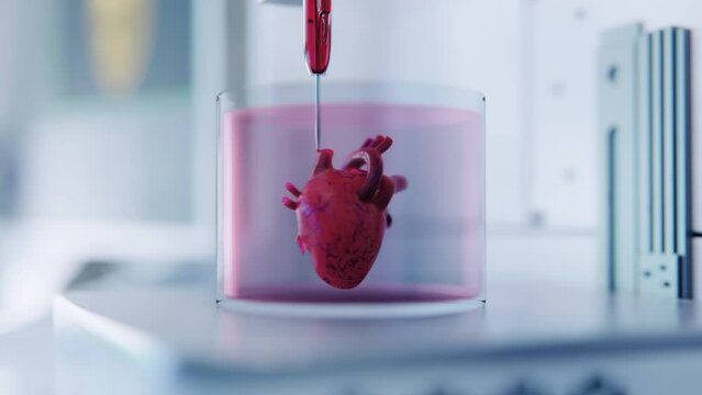 Technological Breakthrough in Genetic Engineering. Biotech Laboratory 3D Printing an Artificial Human Heart. Printer Constructing an Organ From Living Cells, Developing Viable 3D-Printed Organs