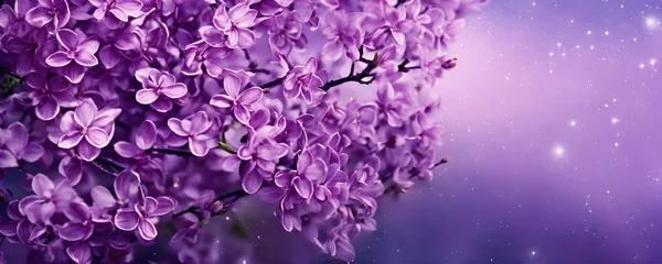 Fotobehang lilac background with magical razvoami © Muhammad