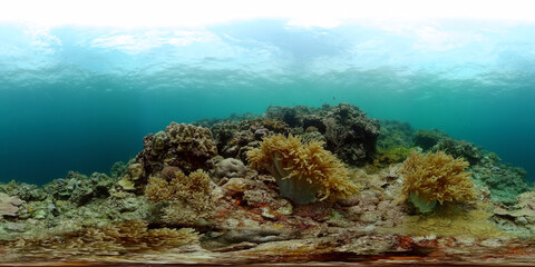 Naklejka na ściany i meble Underwater world scenery of tropical fish and corals. Marine life. Virtual Reality 360.