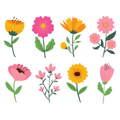 Vector about Hand drawn spring flowers set