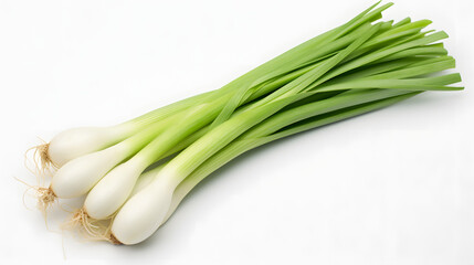 Green onion on white background