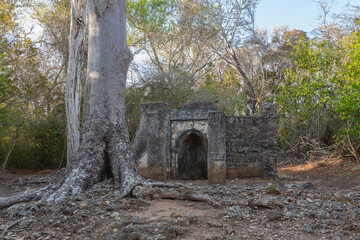 Ruins of Gedi. Watamu, Kenya. Historical and archaeological site near the Indian Ocean coast of eastern Kenya.