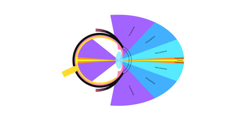 Peripheral vision poster © pikovit