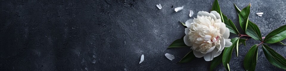 peony with pieces of foil with space for text.