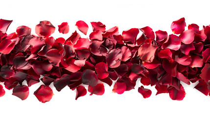 Strip of scattered red rose petals PNG file of isolate, creating an enchanting, romantic atmosphere, ideal for Valentine's Day designs. Generate Ai.

