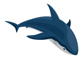 Shark. Marine predator fish character. Underwater wildlife or ocean animal. Cartoon flat isolated icon on white background. Vector illustration