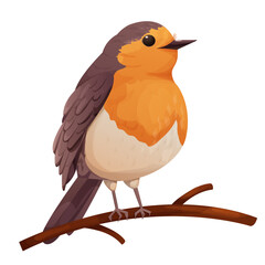 Robin bird cute little bird character on branch isolated on white background. 