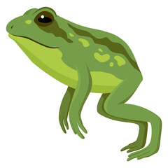 Frog jumping animation icon. Sequences or footage for motion design. Cartoon toad jumping, animal movement concept. Frog leap sequence, vector illustration
