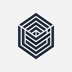 Creative Logo Concept with Abstract Branded Lines