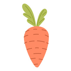 Carrot illustration isolated on white background