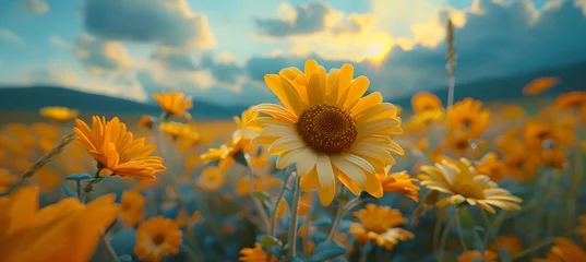Rolgordijnen The sun shines through a colorful field of flowers © Pi Pi
