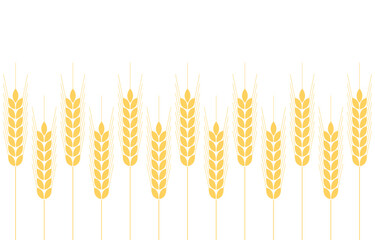 Wheat pattern wallpaper. oat symbol. free space for text. copy space. Wheat or Rice frame.