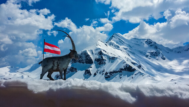 Statue of wooden mountain goat with panoramic view of snow covered mountain peaks of High Tauern along Grossglockner high alpine road, Carinthia Salzburg, Austria. Austrian flag waving in the wind