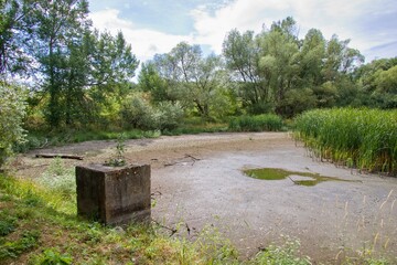 Dried fishpond during the summer season. Climate change is real. No water. Fishpond without water. 