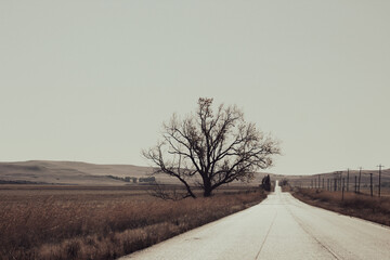 Deserted Road