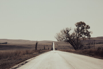 A long road in winter