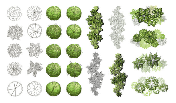 Vector Bush Top View Bush Top View Images – Browse 117,060 Stock Photos, Vectors, and Video ...