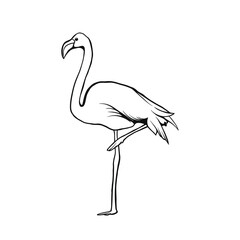 outline illustration of a flamingo