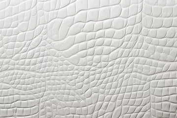 Foto auf Acrylglas crocodile leather texture of white color texture, empty background for design, exclusive, alligator © -=RRZMRR=-
