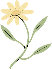 illustration of a flower
