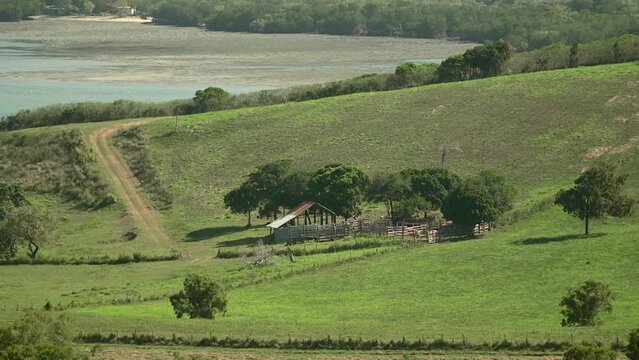 Nouvelle-Calédonie, terre d'élevage, paysages de la "brousse".