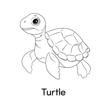 Vector outline turtle illustration. Children's colouring page with a sea animal. Tortoise outline isolated on white background 