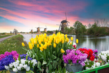Windmill in Holland Michigan - An authentic wooden windmill from the Netherlands rises behind a...