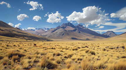 Fototapeta na wymiar Bolivian mountains landscape in Bolivia.