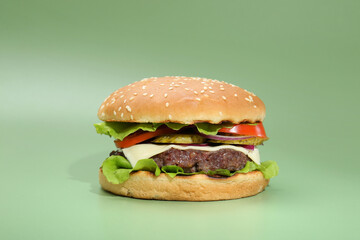 Burger with delicious patty on green background