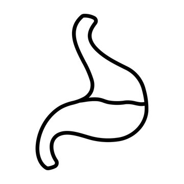 black outline stomach anatomy clip art preview