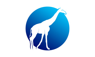 Giraffe silhouette elegant design icon vector