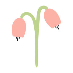 Spring flower hand drawn illustration. Flat style design, isolated vector. Easter holiday clip art, seasonal card, banner, poster, element. Spring blossom, bloom, floral