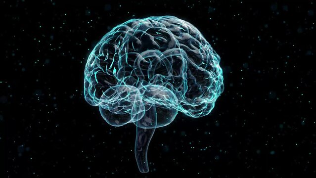 Human brain. Scan mesh of human 3d model brain.