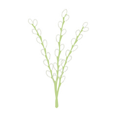 Willow tree branches with catkins hand drawn illustration. Flat style design, isolated vector. Easter holiday clip art, seasonal card, banner, poster, element