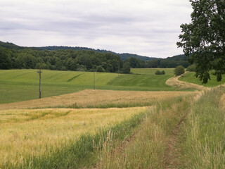 Fototapeta na wymiar Fields and meadows of Wiezyca. Kashubia Region. Poland