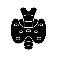thyroid