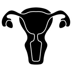 female reproductive system