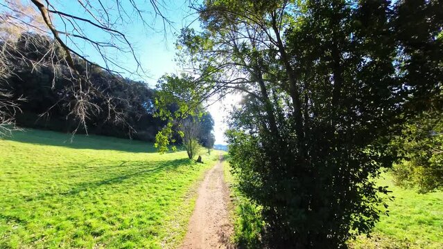 Nature in Villa Doria Pamphilj - Rome