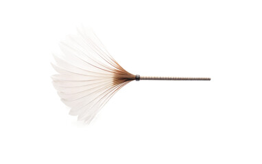 A photograph of a single brown and white feather. on White or PNG Transparent Background.