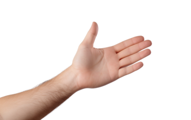A mans hand stretches out towards the sky, reaching upward with determination. on White or PNG Transparent Background.