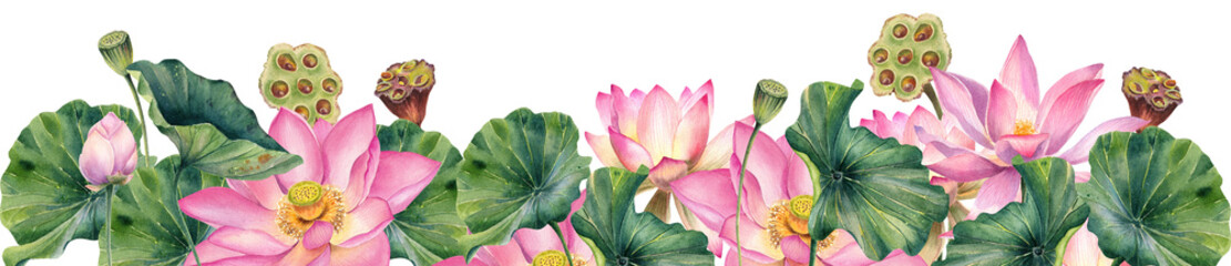 Watercolor, lotus, pink flowers illustrations, border, frame, hand painted realistic, decoration, invitation